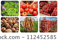 Vegetable Crop Production. Carrot, Potato, Onion and Pepper Harvesting. Sustainable Agriculture and Food Production  - Photo Collage 112452585