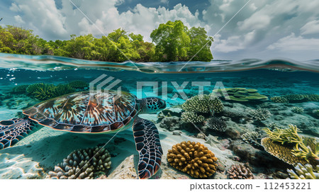 A turtle is swimming in the ocean next to a coral reef 112453221