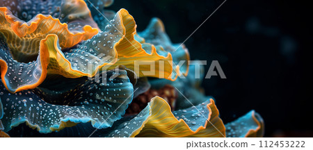 A colorful coral reef with blue and yellow flowers 112453222