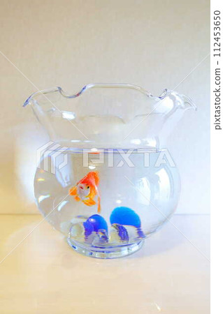 Goldfish Goldfish Fish Summer Japan Japanese 112453650