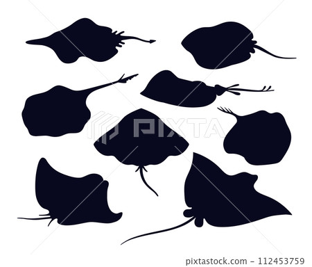 Stingray silhouettes collection. Shapes of flat sea fish 112453759