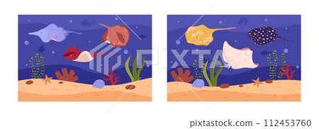 Set of underwater banners with swimming stingrays above seafloor with starfish and plants. 112453760