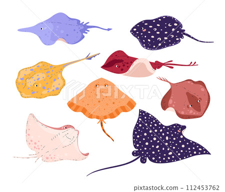 Stingrays, set of vector illustration isolated on white, flat cartoon style 112453762