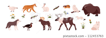 Tundra Arctic animals, birds and plants set flat vector illustration isolated. 112453763