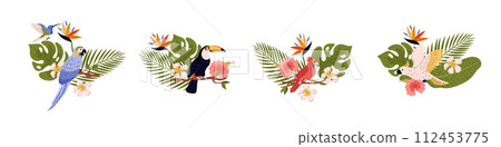 Tropical flora and fauna vector illustration paradise set, cockatoo, toucan, aru and red cardinal birds, exotic flowers 112453775