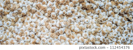 BANNER, LONG FORMAT White garlic pile texture. Fresh garlic on market table closeup photo. Vitamin healthy food spice image. Spicy cooking ingredient picture. Pile of white garlic heads. White garlic 112454376