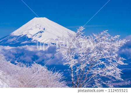 (Shizuoka Prefecture) Snow-covered Izu skyline and Mt. Fuji seen from Gendake Observation Deck (Shizuoka Prefecture) Snow-covered Izu skyline and Mt. Fuji seen from Gendake Observation Deck 112455521