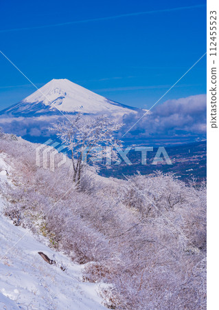 （靜岡縣）從元嶽展望台看到白雪覆蓋的伊豆天際線和富士山 112455523