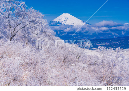 (Shizuoka Prefecture) Snow-covered Izu skyline and Mt. Fuji seen from Gendake Observation Deck (Shizuoka Prefecture) Snow-covered Izu skyline and Mt. Fuji seen from Gendake Observation Deck 112455529