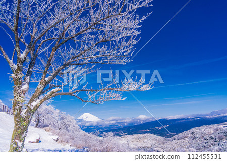 (Shizuoka Prefecture) Snow-covered Izu skyline and Mt. Fuji seen from Gendake Observation Deck (Shizuoka Prefecture) Snow-covered Izu skyline and Mt. Fuji seen from Gendake Observation Deck 112455531
