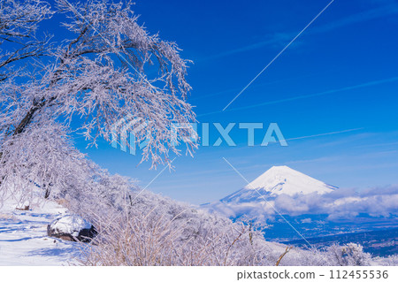 (Shizuoka Prefecture) Snow-covered Izu skyline and Mt. Fuji seen from Gendake Observation Deck 112455536