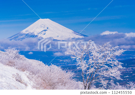 (Shizuoka Prefecture) Snow-covered Izu skyline and Mt. Fuji seen from Gendake Observation Deck 112455550
