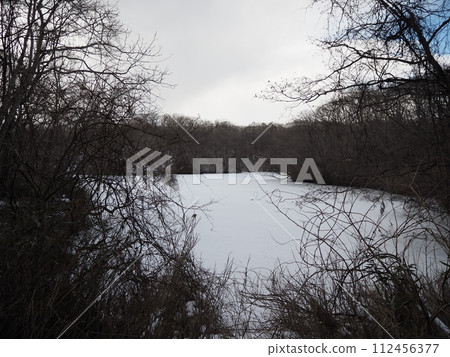 錦大沼公園 錦大沼公園被冰雪覆蓋 錦大沼公園 錦大沼公園被冰雪覆蓋 112456377