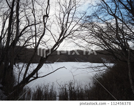 錦大沼公園 錦大沼公園被冰雪覆蓋 112456378