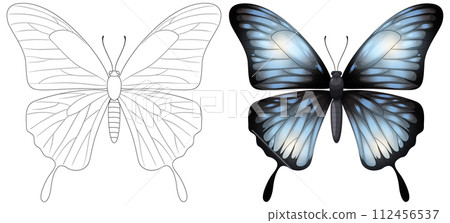 Monochrome to Colorful Butterfly Transformation 112456537