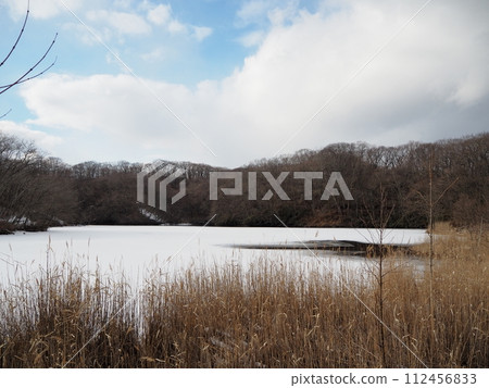 錦大沼公園的錦大沼公園被冰雪覆蓋 錦大沼公園的錦大沼公園被冰雪覆蓋 112456833