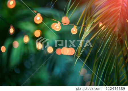 Tropical palm leaves and string lights. Generative AI 112456889