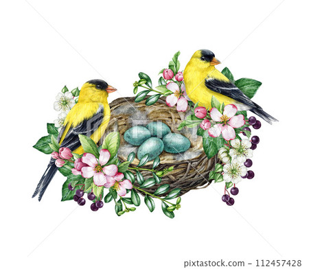 Birds on the nest vintage style decor element. Watercolor illustration. Hand drawn goldfinch birds on the nest with eggs and garden flowers, green leaves. Springtime decoration. White background 112457428