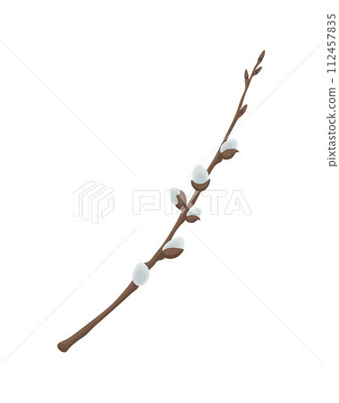 Willow. A sprig of willow. A spring plant. Vector illustration isolated on a white background Willow. A sprig of willow. A spring plant. Vector illustration isolated on a white background 112457835
