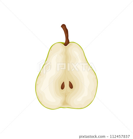 Pear. An image of a pear slice. Fresh garden fruit. A ripe pear. Vector illustration isolated on a white background 112457837