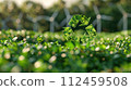 Green recycling symbol with sunrise over a field with wind turbines. Green energy solutions and sustainable power engineering and eco-friendly technology. Generative AI 112459508
