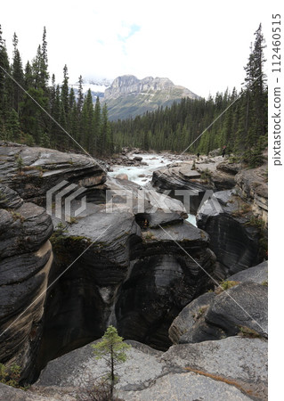 canadian rockies panther fall canadian rockies panther fall 112460515