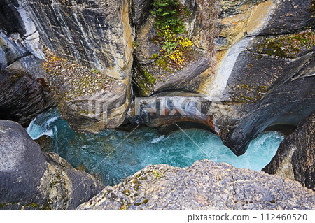 canadian rockies panther fall canadian rockies panther fall 112460520