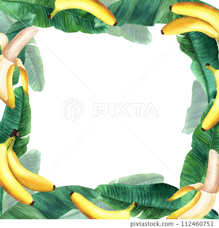 Square frame with banana tree leaves and fruit, berry banana. Hand drawn watercolor botanical illustration isolated on white background. For clip art cards invitation label package Square frame with banana tree leaves and fruit, berry banana. Hand drawn watercolor botanical illustration isolated on white background. For clip art cards invitation label package 112460751