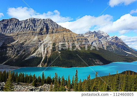 加拿大 落磯山脈 佩托湖 112460805