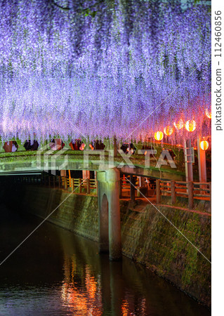 A stone bridge and beautiful wisteria flowers (wisteria trellis) scenery that shines on a clear spring night "Nakayama Big Wisteria [Nakayama Kumano Shrine, Yanagawa City]" 112460856