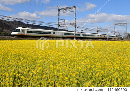 行駛在油菜花田中的近鐵特急“Urban Liner” 112460890