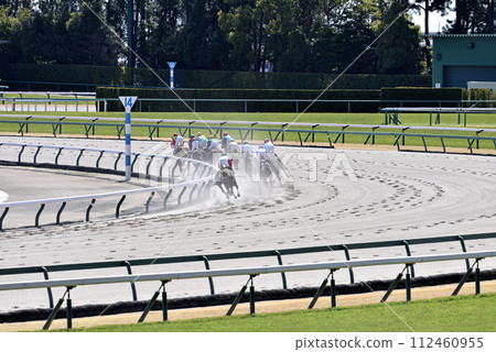 Spring Chukyo Dirt Course Spring Chukyo Dirt Course 112460955