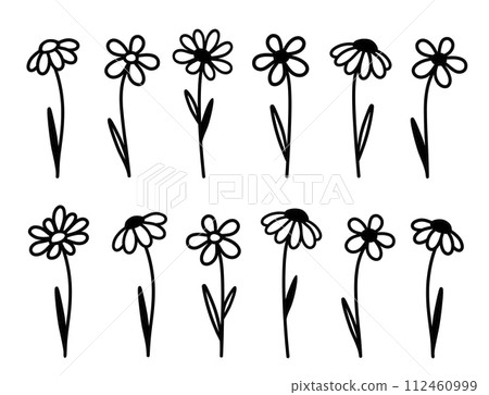 Wildflowers, summer flowers set with daisy silhouettes Wildflowers, summer flowers set with daisy silhouettes 112460999