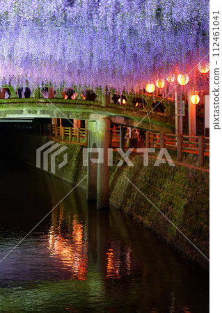 A stone bridge and beautiful wisteria flowers (wisteria trellis) scenery that shines on a clear spring night "Nakayama Big Wisteria [Nakayama Kumano Shrine, Yanagawa City]" 112461041