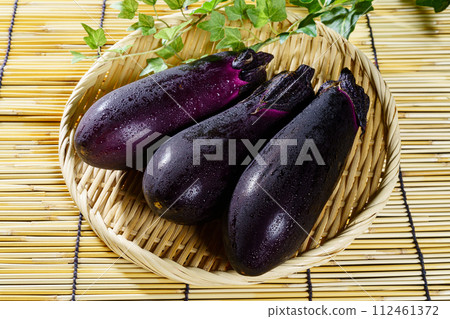 eggplant 112461372
