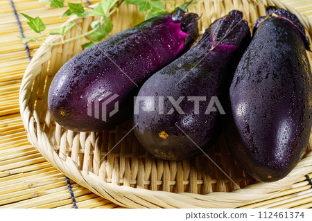 eggplant 112461374