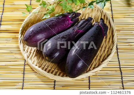eggplant eggplant 112461376