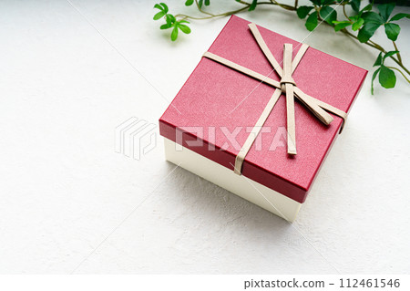 Present Present 112461546