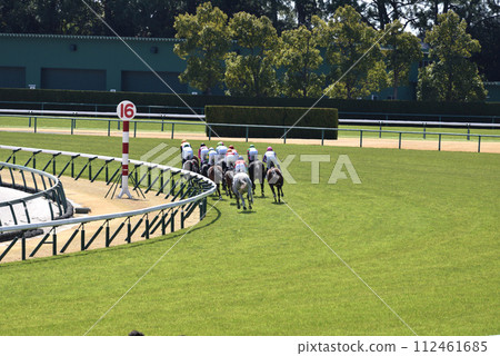 Chukyo Racecourse continues to be hotly contested in spring 112461685