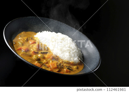 A photo of piping hot curry rice with plenty of vegetables such as pork, pumpkin, and carrots against a black background. 112461981