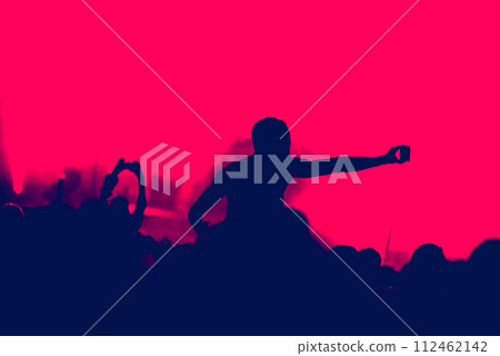 Rear view of crowd of people with arms outstretched at concert 112462142