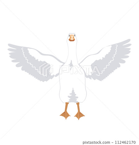 White goose spreads and flapping its wings. Vector isolated illustration 112462170