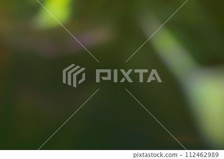深綠色動態影像 深綠色動態影像 112462989