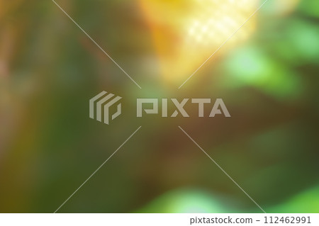 深綠色動態影像 深綠色動態影像 112462991