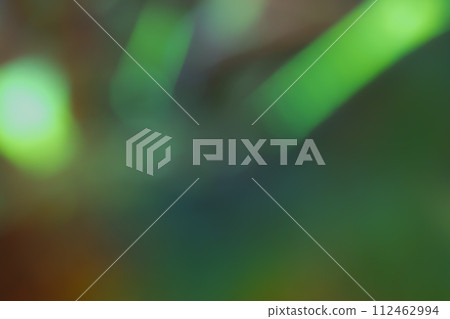 深綠色動態影像 深綠色動態影像 112462994