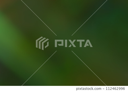 深綠色動態影像 112462996