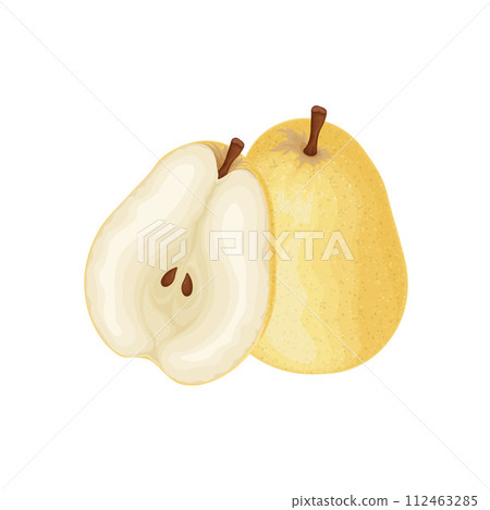 Pear. An image of a pear slice. Fresh garden fruit. A ripe pear. Vector illustration isolated on a white background Pear. An image of a pear slice. Fresh garden fruit. A ripe pear. Vector illustration isolated on a white background 112463285