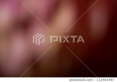 Red-brown moving image Red-brown moving image 112463497