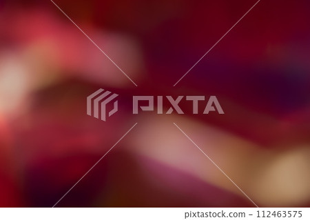 Red-brown moving image 112463575