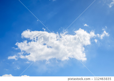 春天的天空藍天素材[東京] 112463835